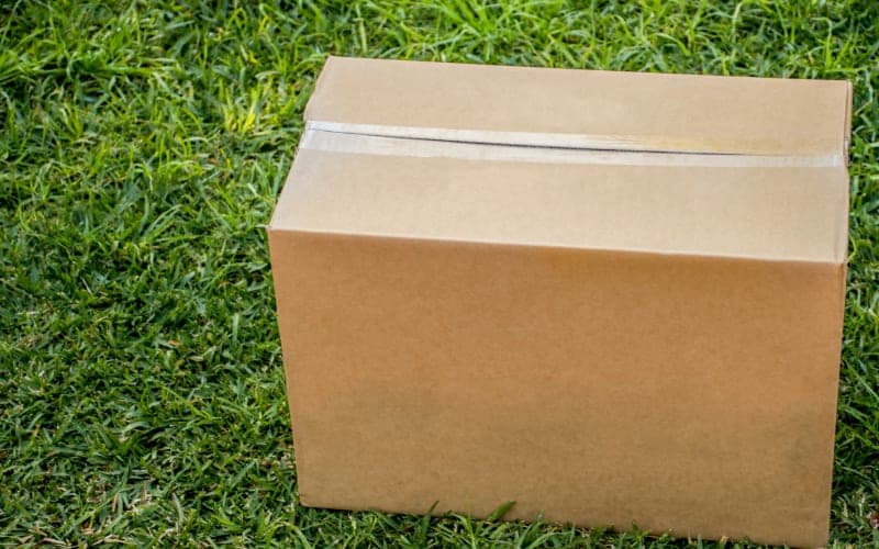 Orders, Shipping & Payment