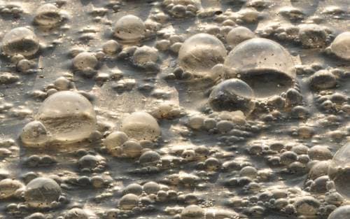 The impact of septic system pollution on water